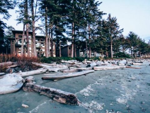 太平洋金沙海滩度假村(Pacific Sands Beach Resort)