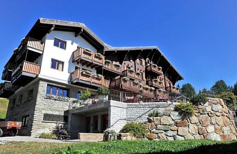 阿莱奇酒店(Hotel Aletsch)