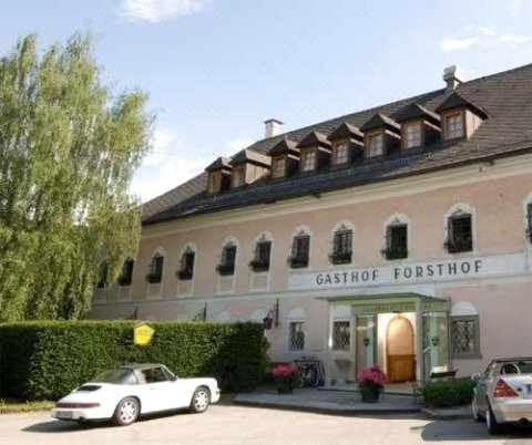 福斯索夫乡村旅馆(Landhotel Forsthof)