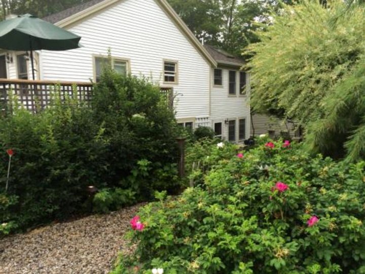 奥甘奎特黑野猪住宿加早餐旅馆(Black Boar Inn Ogunquit)