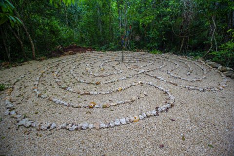 朱莉丛林生态旅馆(Jolie Jungle Eco Hotel)