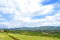 斯专达葡萄酒&郊外度假农家乐(Agriturismo Streda Wine & Country Holiday)