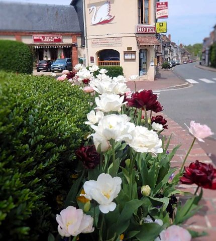 天鹅餐厅酒店(Hotel Restaurant le Cygne)