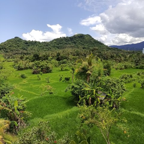 巴厘岛日出天堂别墅(Sunrise Paradise Bali)