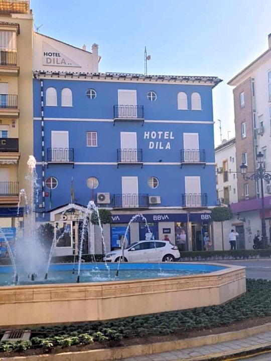 赫迪拉酒店(Hotel Dila)