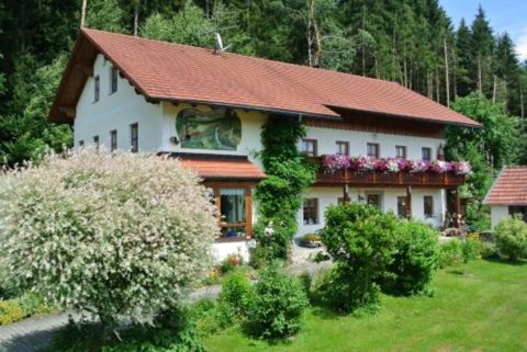 Haus am Waldrand - Ferienwohnung Augustin