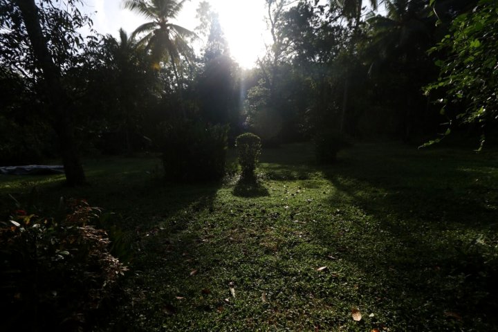 植物园别墅阿育吠陀瑜伽度假村(Plantation Villa)