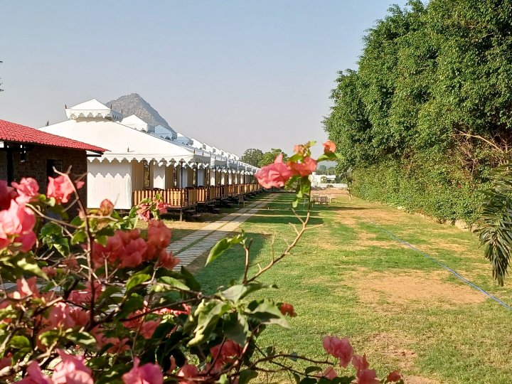 皇家布许卡露营旅馆(Royal Pushkar Camps)