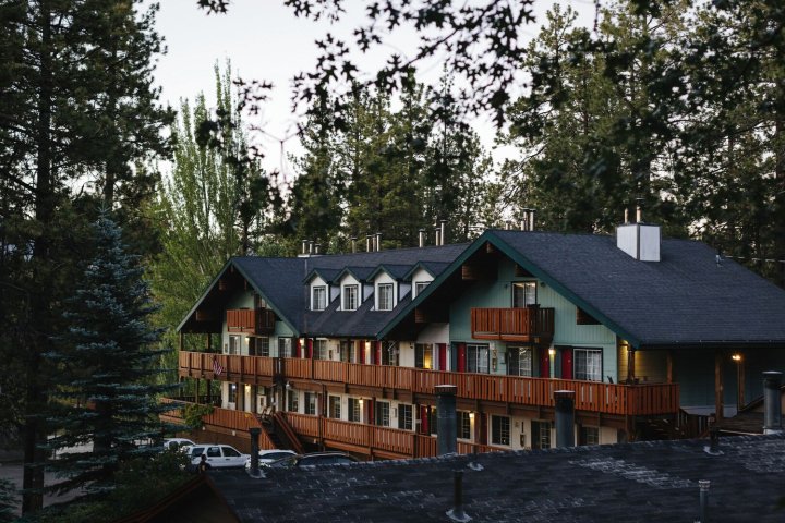 蜂蜜熊小屋酒店(Honey Bear Lodge)