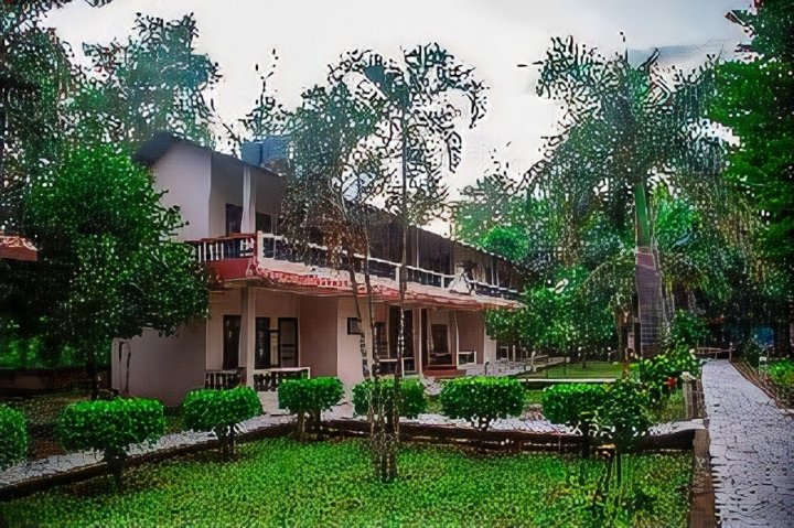 OYO 556 其弯河边度假村(OYO 556 Chitwan Riverside Resort)