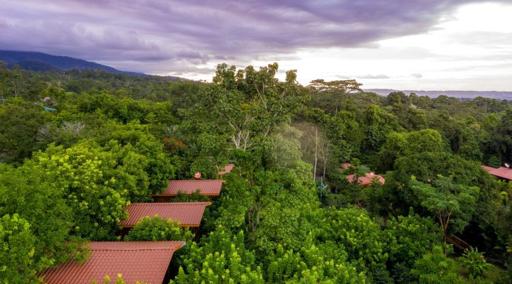 海里科尼亚自然旅馆(Heliconias Nature Inn)