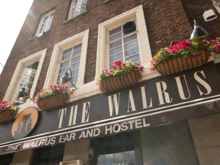 华乐斯酒吧旅舍(The Walrus Bar and Hostel)
