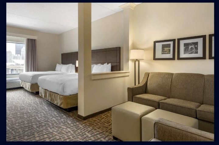 匹兹堡北岸舒适套房酒店(Comfort Inn & Suites Pittsburgh-Northshore)