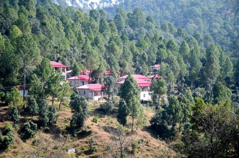 Majkhali Woods, Ranikhet, by Himalayan Eco Lodges