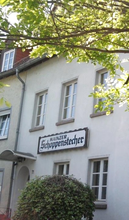麦恩兹尔斯豪鹏斯特切尔酒店(Mainzer Schoppenstecher)