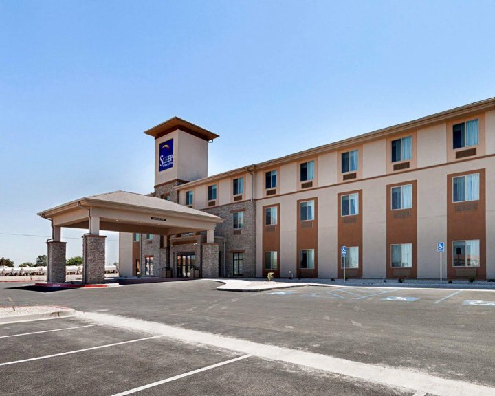 卡尔斯巴德洞穴区舒眠套房酒店(Sleep Inn & Suites Carlsbad Caverns Area)