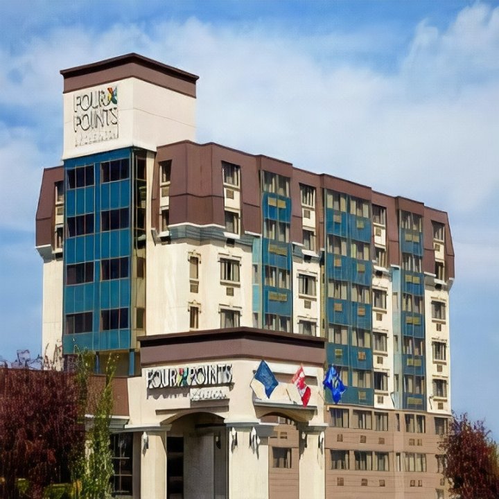 南埃德蒙顿福朋喜来登酒店(Four Points by Sheraton Edmonton South)