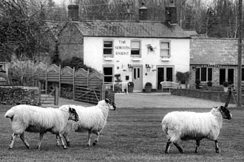 诺曼骑士酒店(The Norman Knight Whichford)