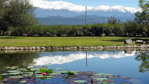 奥利弗旅馆(Posada del Olivo)