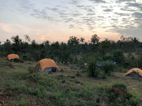 Wilderness Jungle Camp