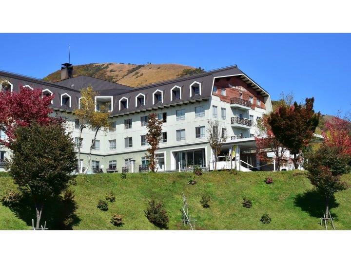 白马阿尔卑斯山酒店(Hakuba Alps Hotel)