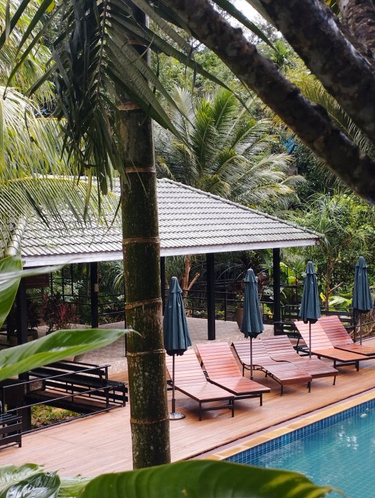 普吉丛林体验度假村(Phuket Jungle Experience Resort)