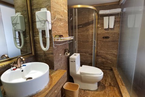 南丹阿尔卑斯大酒店