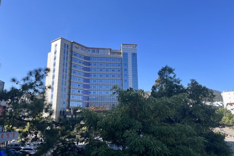 凤庆滇红大酒店