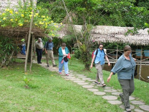 亚马逊仙兹古尔民宿(Amazonas Sinchicuy Lodge)