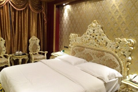 南丹阿尔卑斯大酒店