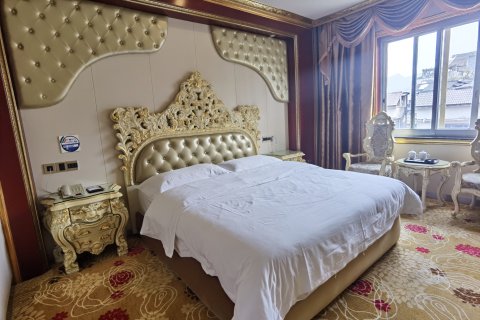 南丹阿尔卑斯大酒店