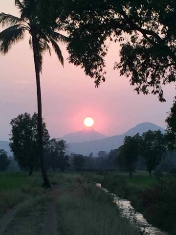 芒果树农舍(Mango Tree Farm)