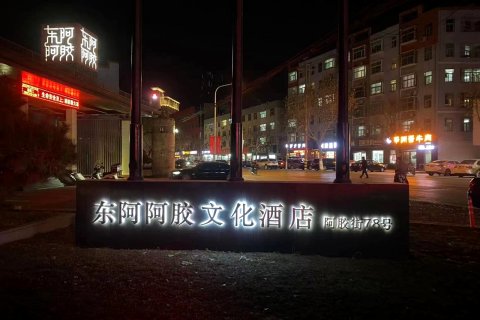 东阿阿胶文化酒店