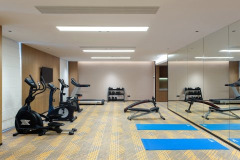 华美达安可酒店（佛山创意产业园王府井店）