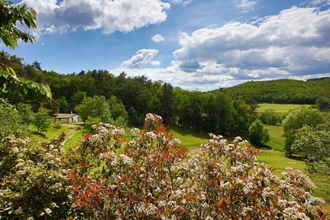 瑞勒蒂耶乌旅馆(Gîte le Tilleul - O'Reiller)