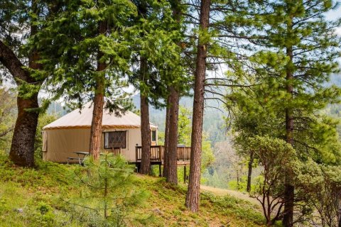 约塞米蒂国家公园湖5号山丘圆顶帐篷(Yosemite Lakes Hillside Yurt 5)