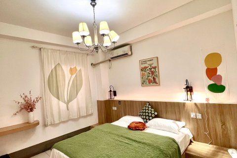 鼓浪屿茶屿猫·宿