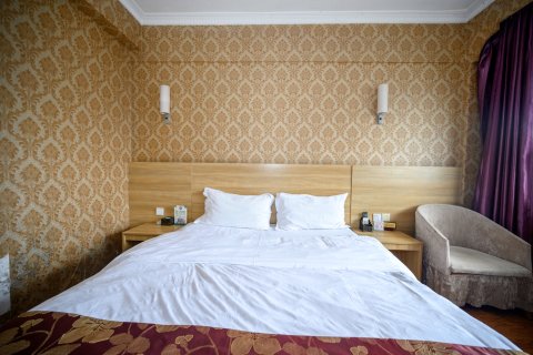 乐至金锄头大酒店