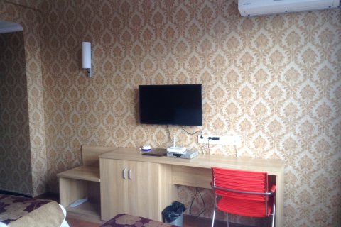 乐至金锄头大酒店