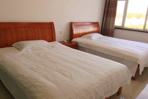 太仆寺旗元青花蒙古部落