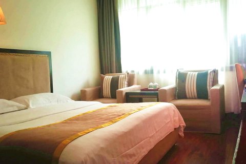 帝人酒店(拉萨布达拉宫店)