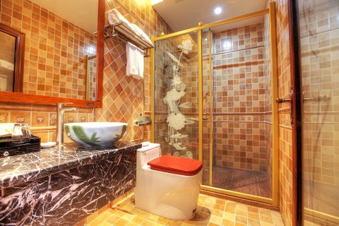 罗浮山道家香酒店