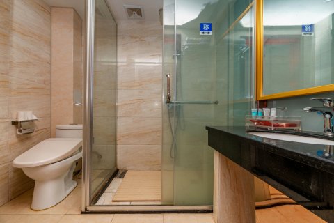 确山金龙大酒店