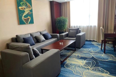 迎君国际酒店(鹿邑县政府明道宫店)