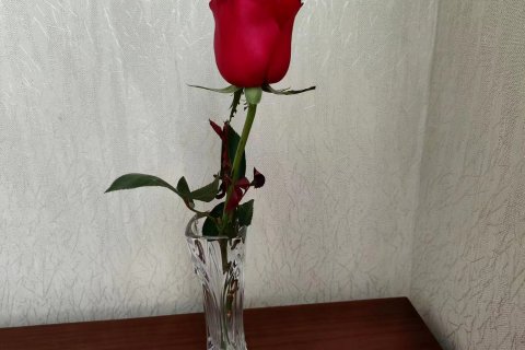 伊宁天缘商务酒店