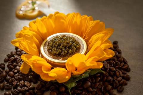 烟台百纳瑞汀酒店(烟台站所城里店)