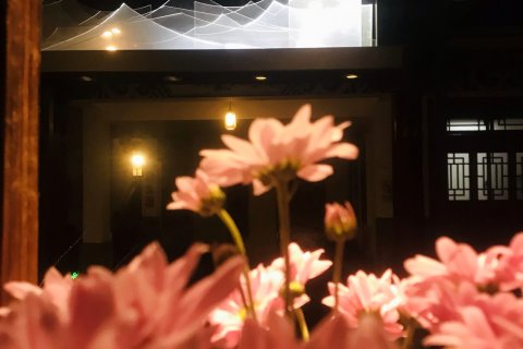 大理古城青青客栈