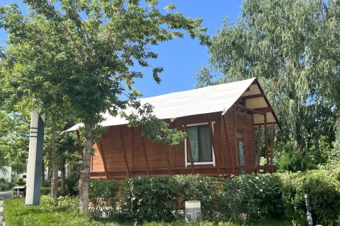 张掖国际露营基地