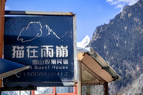 猫在雨崩雪山观景民宿