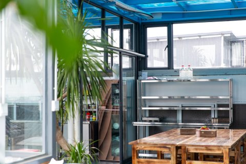 大理莯晨苑客栈(大理古城南门店)